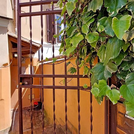 Monte Del Gallo Apartment For Groups 로마 외부 사진